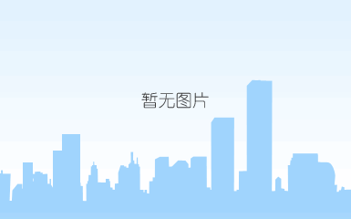 2021年动力电池装机量top10